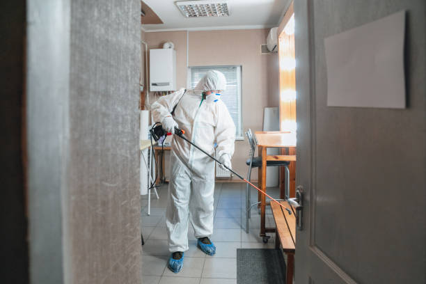 Best Water Damage & Mold Remediation  in Burnt Store Marina, FL