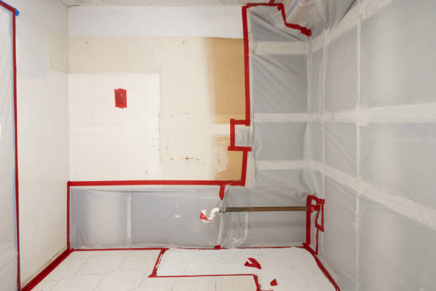 Best Emergency Mold Remediation  in Burnt Store Marina, FL