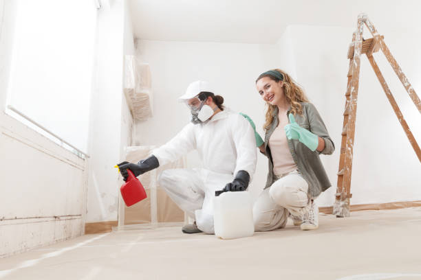 Best Post-Construction Mold Inspection  in Burnt Store Marina, FL