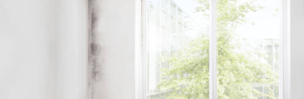 Best HVAC Mold Inspection and Cleaning  in Burnt Store Marina, FL