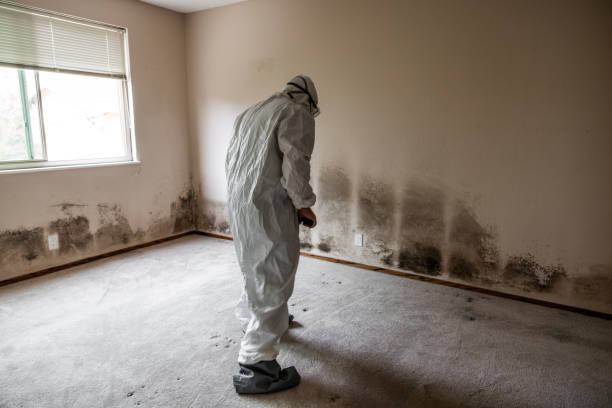 Best Forensic Mold Investigation  in Burnt Store Marina, FL
