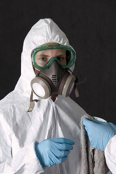 Best Asbestos and Lead Testing During Mold Inspection  in Burnt Store Marina, FL